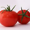 Tomates de Marmande (4)