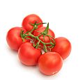 Gros plans tomates