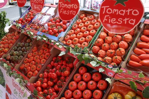 Tomato Fiesta, fête de la tomate animations dégustations